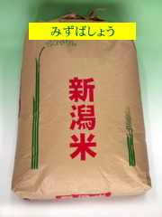 みずばしょう 玄米 30kg